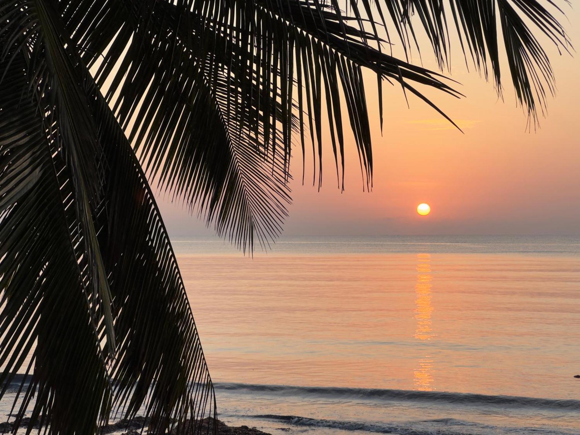 Sawa Sawa Beach House Msambweni Dış mekan fotoğraf