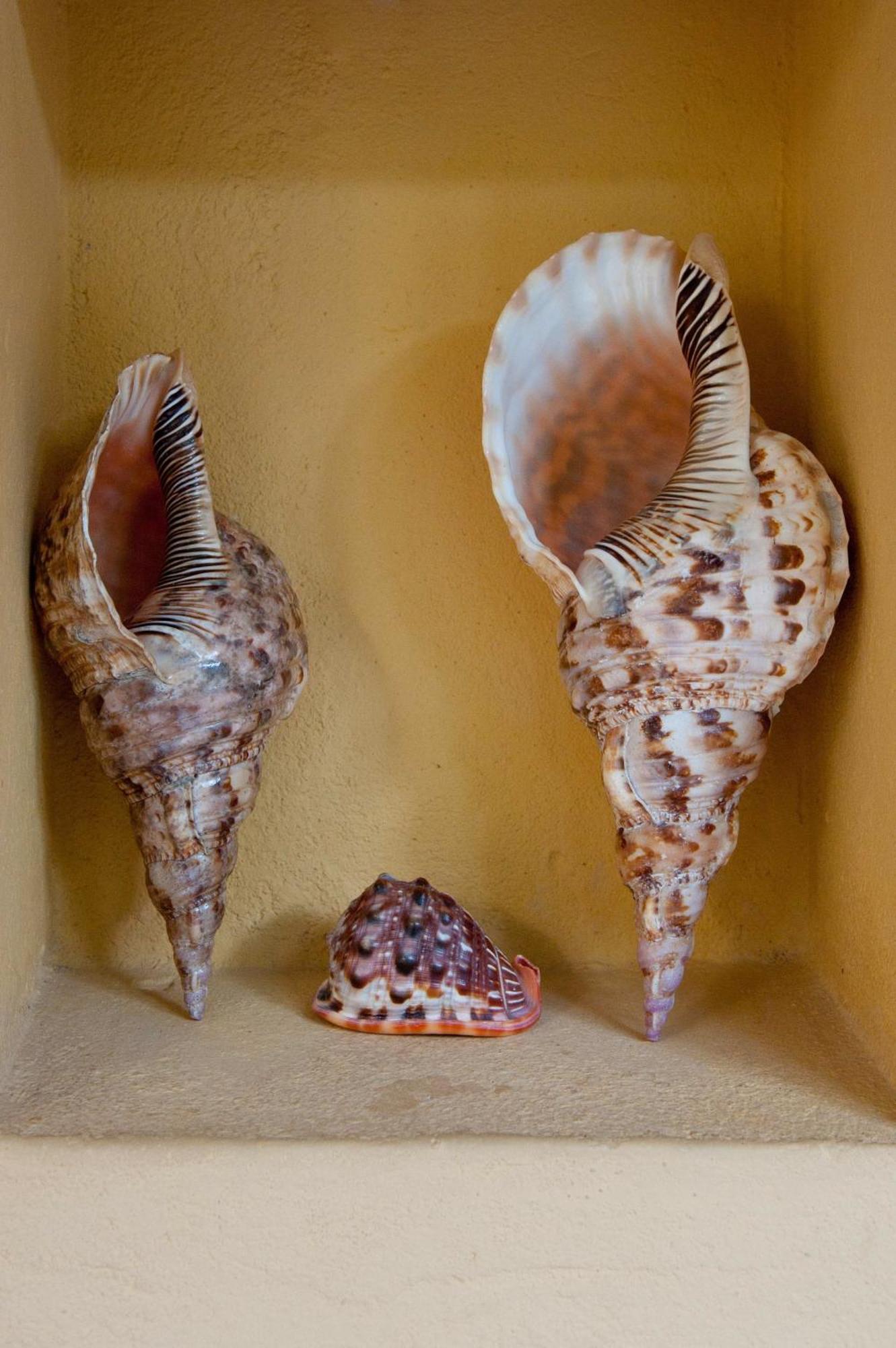 Sawa Sawa Beach House Msambweni Dış mekan fotoğraf