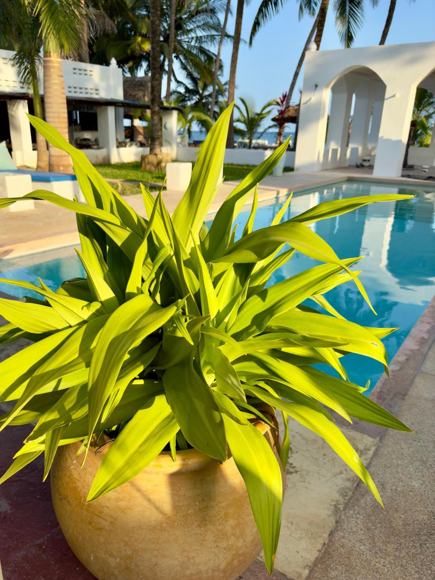 Sawa Sawa Beach House Msambweni Dış mekan fotoğraf