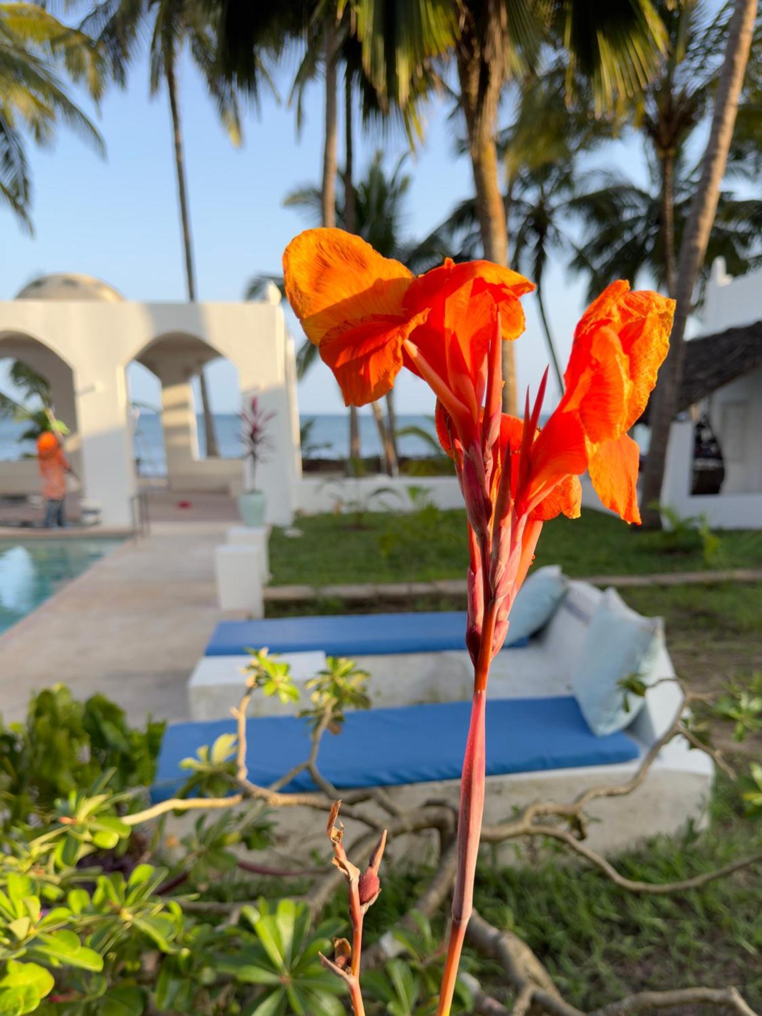 Sawa Sawa Beach House Msambweni Dış mekan fotoğraf